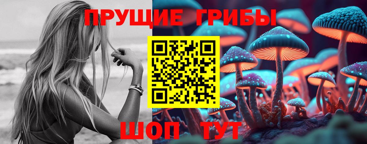 Псилоцибиновые грибы Psilocybine cubensis  даркнет сайт  Кисловодск  Вход с VPN  Псилоцибиновые грибы GOLDEN TEACHER 